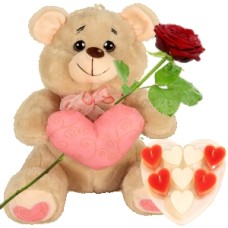Teddy bear approx. 30cm + heart candles (Teddy bear approx. 30 cm light brown with pink heart + fresh red rose + box with 8 heart tea lights + bottle of Spanish white wine Marqués)